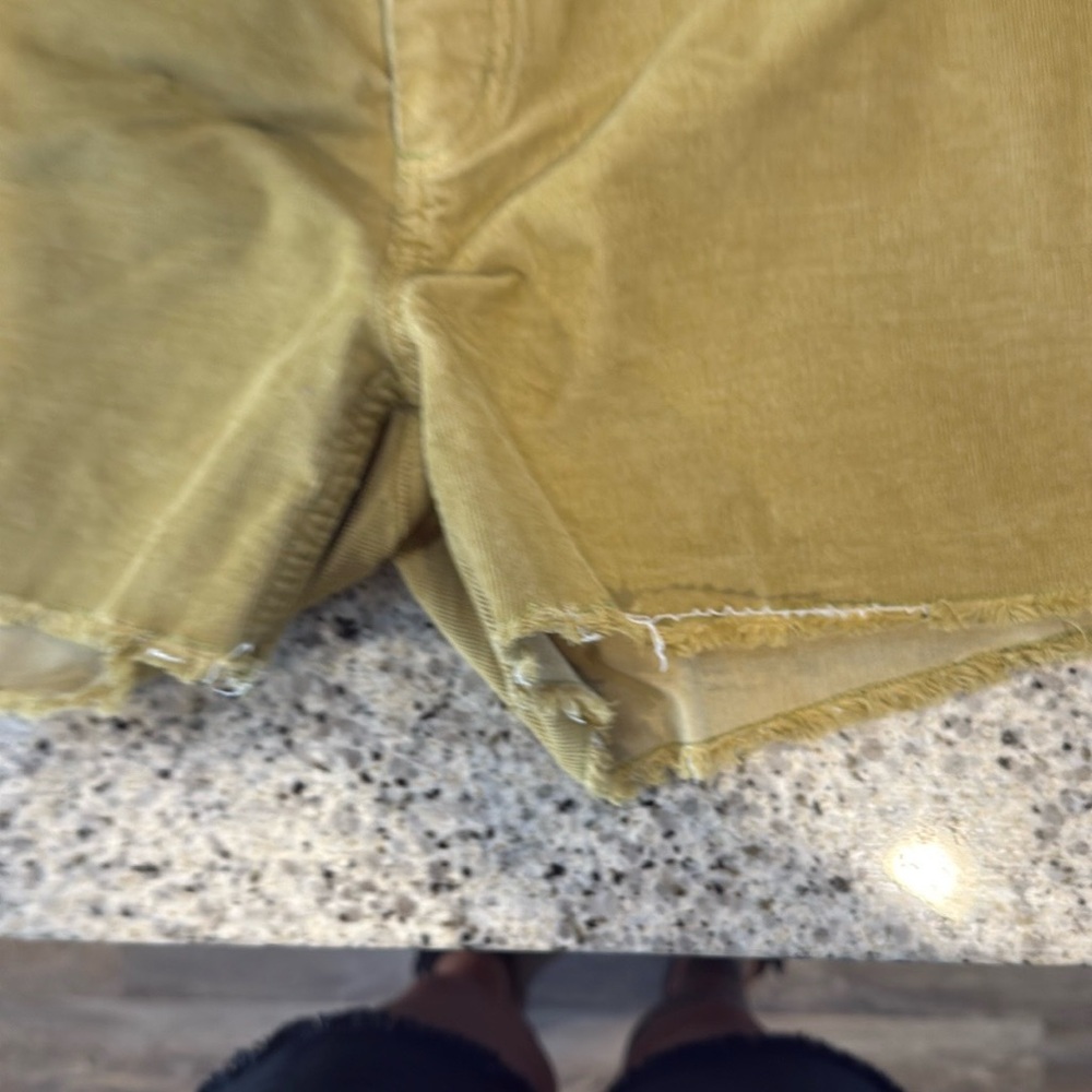 Carve Designs Olive Green Women Shorts